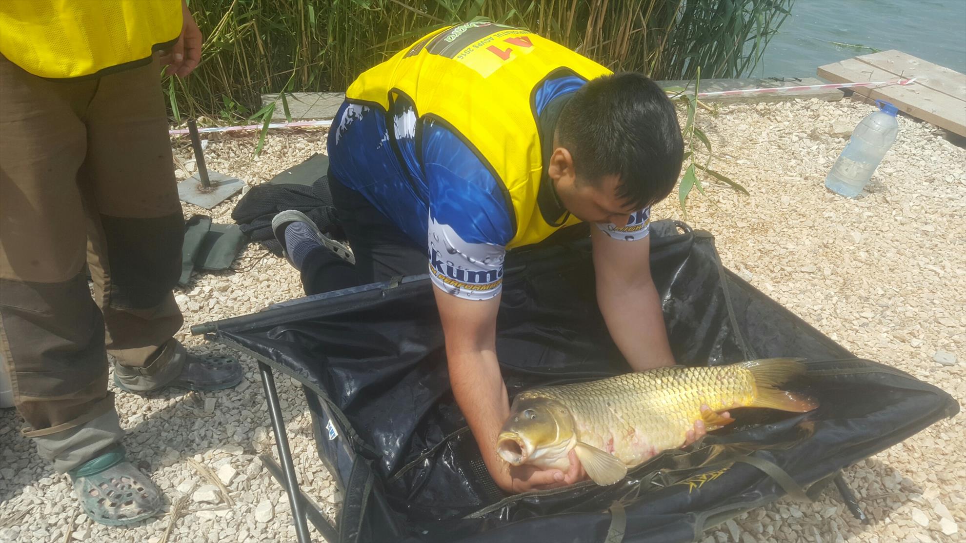 Corbu 19 - 22 mai 2016 - 20160522120854resized.jpg